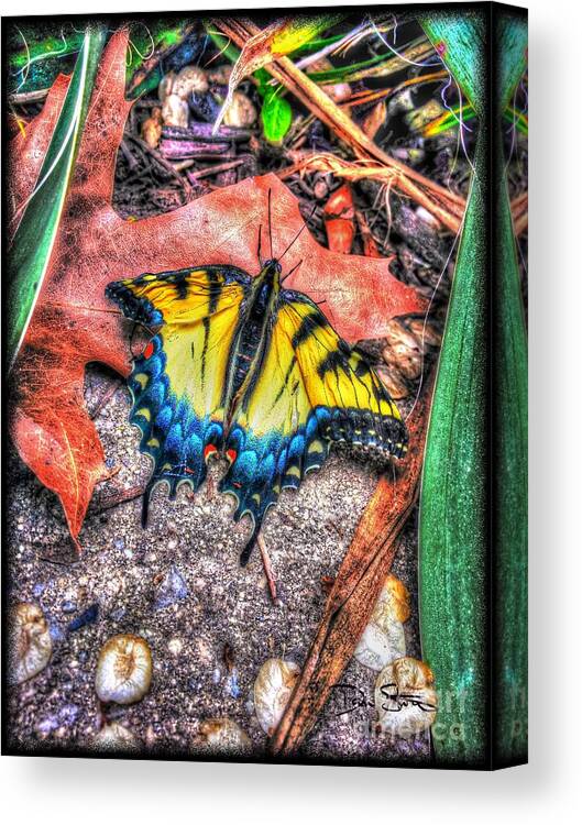 Butterfly Canvas Print featuring the photograph Beyond Chrysalis-Tiger Swallowtail by Dan Stone
