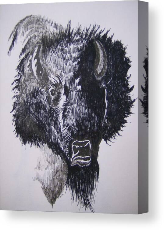 Buffalo Canvas Print featuring the drawing Big Bad Buffalo by Leslie Manley