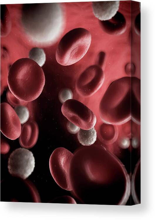 Artwork Canvas Print featuring the photograph Blood Stream by Sciepro/science Photo Library