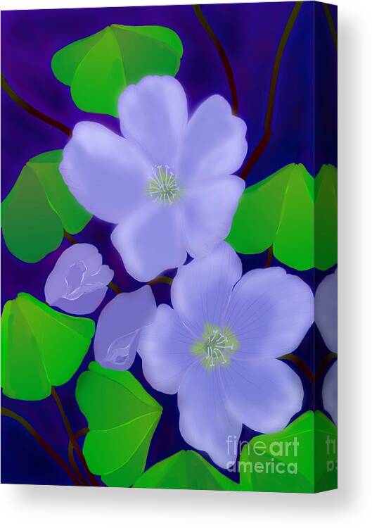 Oxalis Flowers Canvas Print featuring the digital art Blooms of Good luck by Latha Gokuldas Panicker