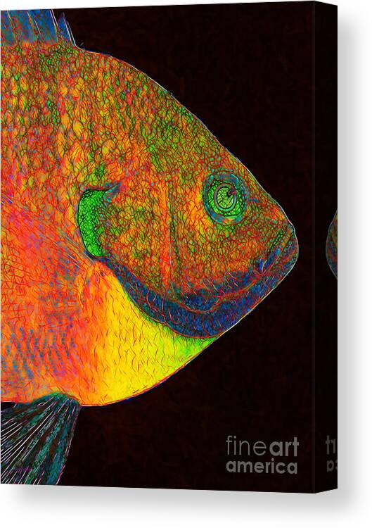 Bluegill Canvas Print featuring the photograph Bluegill Fish by Wingsdomain Art and Photography