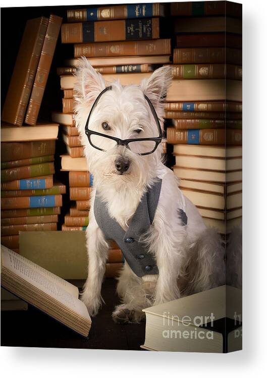 Books Canvas Print featuring the photograph Bookworm Dog by Edward Fielding