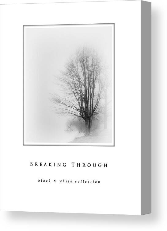 Breaking Through Black & White Collection Canvas Print featuring the photograph Breaking Through black and white collection by Greg Jackson