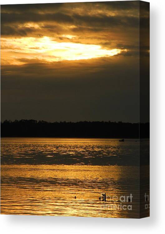 Nature Canvas Print featuring the photograph Bright Peacefulness by Gallery Of Hope 