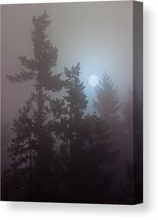 Sun Canvas Print featuring the photograph Burning Through The Fog by Randy Hall