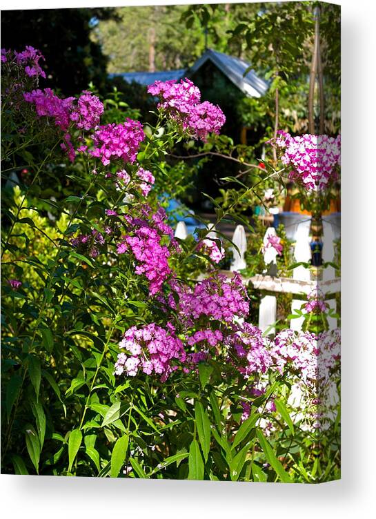 Garden Canvas Print featuring the photograph By The Garden Gate by Michele Myers