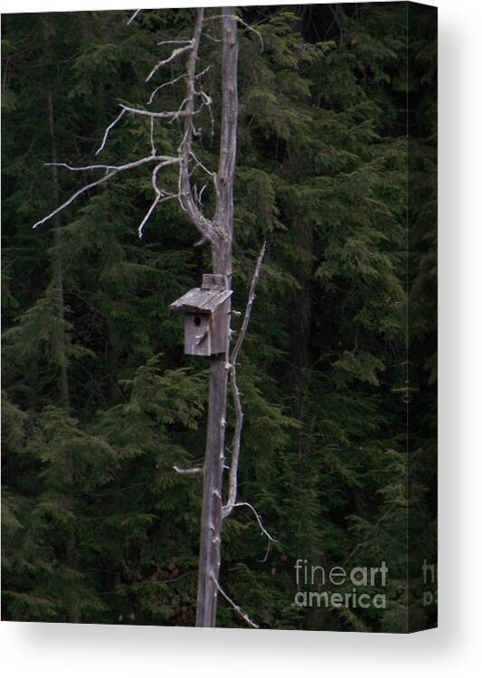Birdhouse Canvas Print featuring the photograph Cabin On Mud Lake by Jackie Mueller-Jones