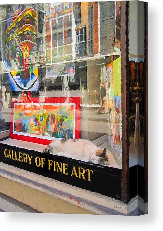 Calico Cat Sleeping Canvas Print featuring the photograph Calico Cat Sleeping - Art Gallery Window New Orleans by Rebecca Korpita