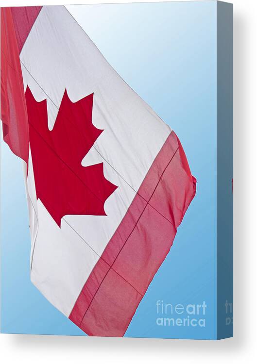 Flag Canvas Print featuring the photograph Canadian Maple Leaf by Ann Horn