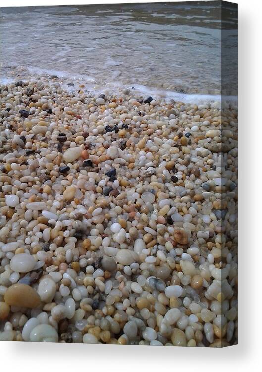 Cape May Diamonds And Ocean Canvas Print Canvas Art By Lisa A Bello
