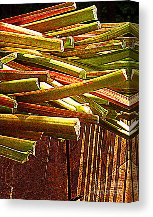 Vegetables Canvas Print featuring the photograph Celery in the Sun by Miriam Danar