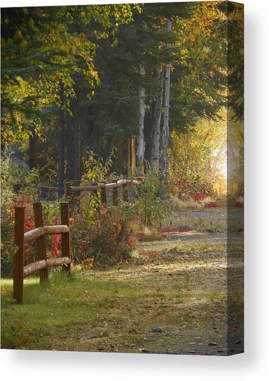 Fence Canvas Print featuring the photograph Changing by Jennifer Kimberly