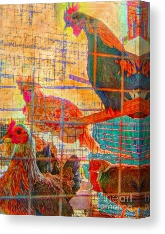 Sharkcrossing Canvas Print featuring the painting V Chickens at the Ag Fair - Vertical by Lyn Voytershark