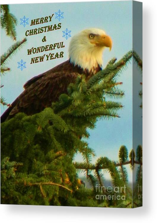 Christmas Canvas Print featuring the photograph Christmas Eagle by Gallery Of Hope 