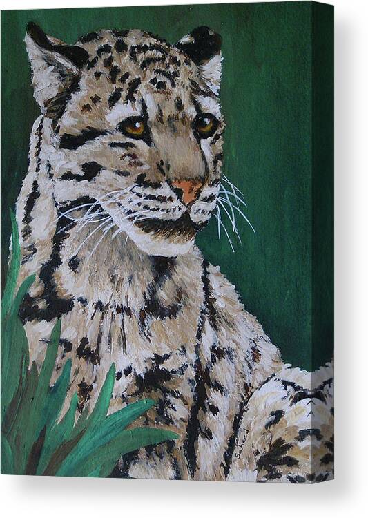 Clouded Leopard Canvas Print featuring the painting Clouded Leopard by Margaret Saheed