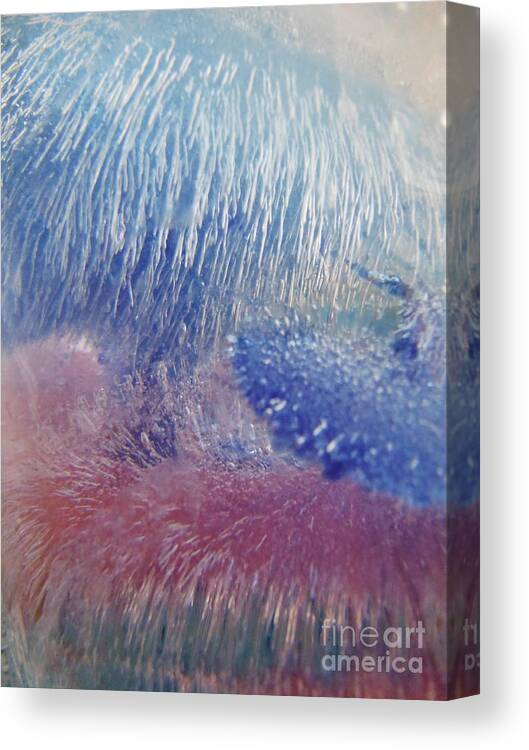 Color In Ice Series Canvas Print featuring the photograph Color In Ice Series 136 by Paddy Shaffer
