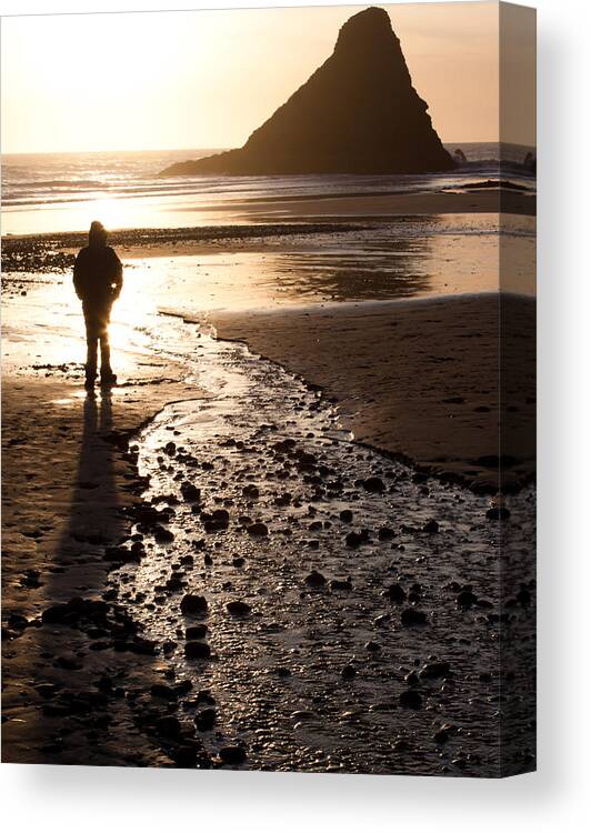 Contemplation Canvas Print featuring the photograph Contemplation by John Daly