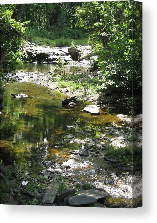 Creek Canvas Print featuring the photograph Cool Waters by Ellen Levinson