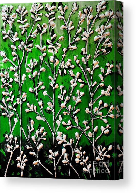 Cotton Canvas Print featuring the painting Cotton Flowers with Green Background by Cynthia Snyder