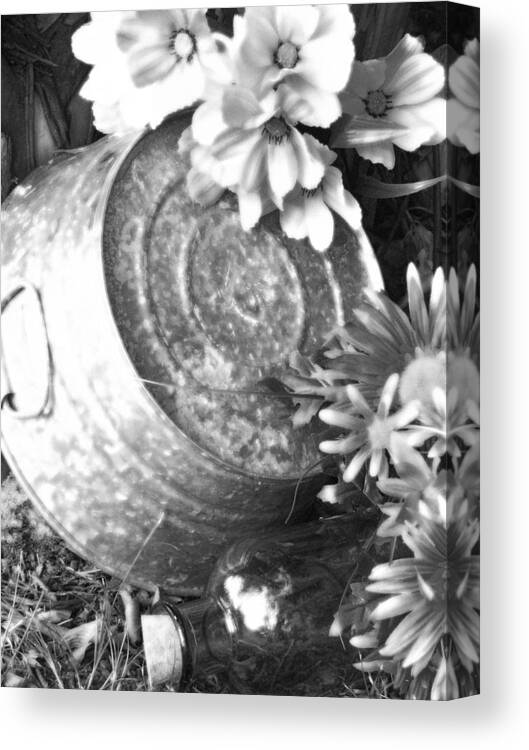 Flower Canvas Print featuring the photograph Country Summer - BW 07 by Pamela Critchlow