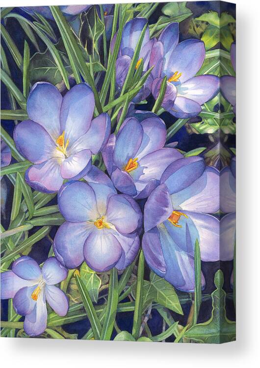 Crocus Canvas Print featuring the painting Crocuses by Sandy Haight