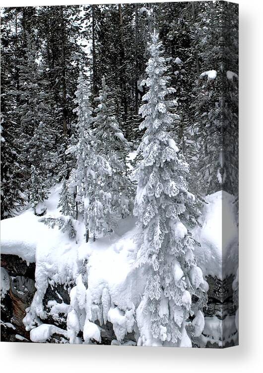 Granite Hot Springs Canvas Print featuring the mixed media Crystal Trees of Yellowstone by Philip And Robbie Bracco