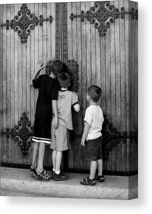 Brothers Canvas Print featuring the photograph Curious Brothers by Kathryn McBride
