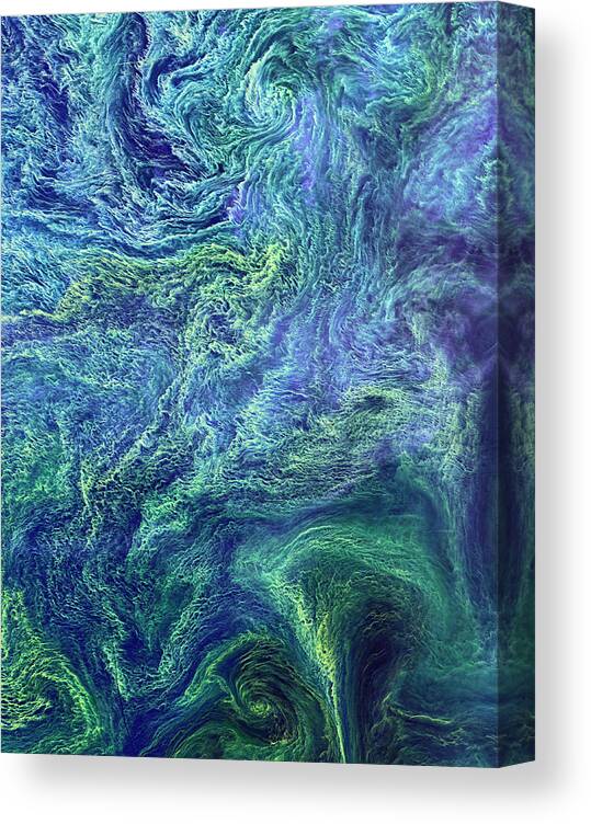 Nobody Canvas Print featuring the photograph Cyanobacteria Bloom by Nasa