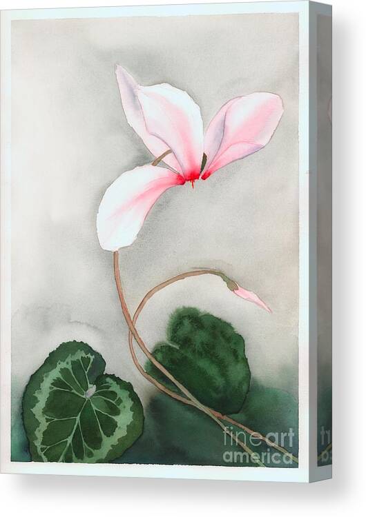 Floral Canvas Print featuring the painting Cyclamen Dancer by Hilda Wagner