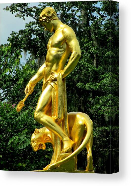 Dionysus Canvas Print featuring the photograph Dionysus Right by Randall Weidner