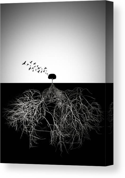 Roots Canvas Print featuring the photograph Do Not Judge According To Appearance by Sourig Arslanian