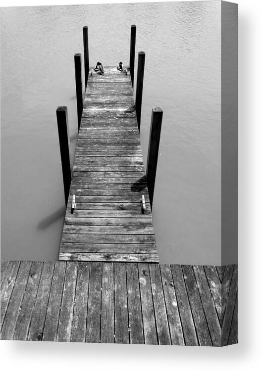 Dock Canvas Print featuring the photograph Dock Ducks by David T Wilkinson