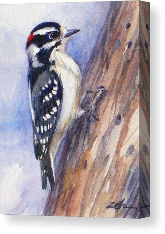 Woodpecker Art Print Canvas Print featuring the painting Downey Woodpecker by Janet Zeh