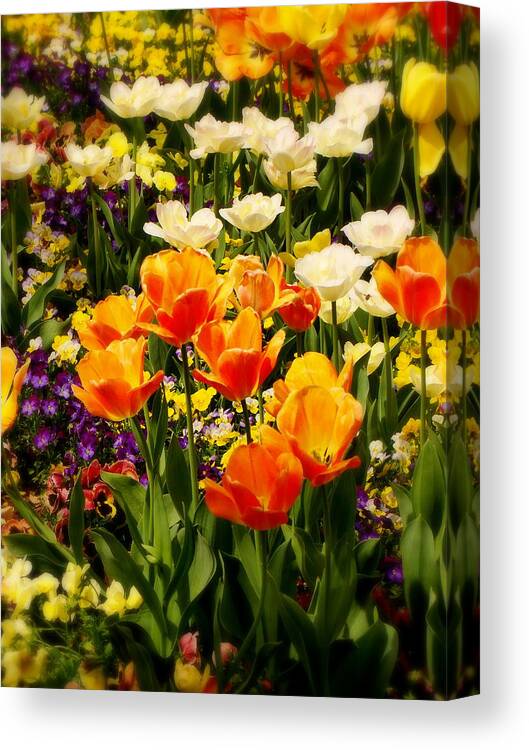 Fine Art Canvas Print featuring the photograph Dreaming in Color by Rodney Lee Williams