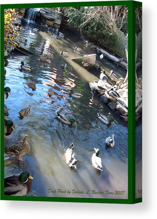 Ducks Canvas Print featuring the photograph Duck Pond by Fabiola L Nadjar Fiore