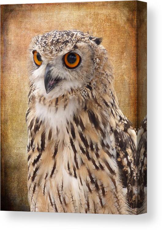 Owl Canvas Print featuring the photograph Eagle Owl by Lynn Bolt