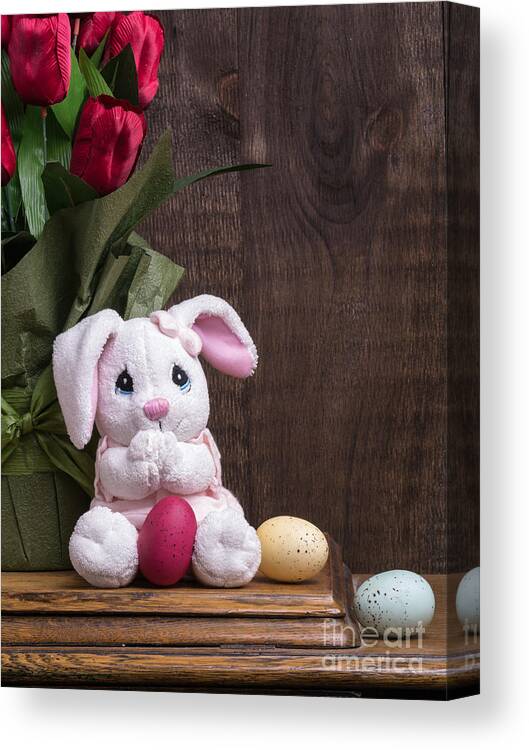 Easter Canvas Print featuring the photograph Easter Bunny by Edward Fielding