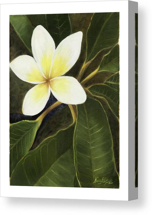 Nancy Edwards Canvas Print featuring the painting Everywhere in Hawaii by Nancy Edwards