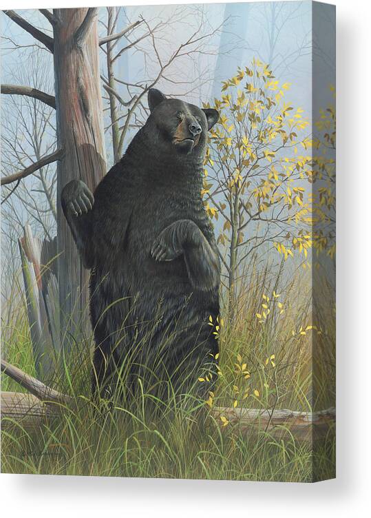 Black Bear Canvas Print featuring the painting Fair Warning by Mike Brown