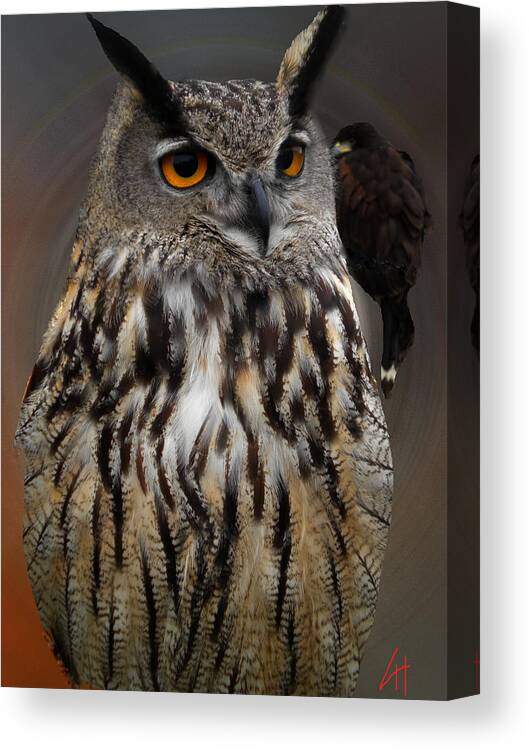 Colette Canvas Print featuring the photograph Falco with Owl alba Spain by Colette V Hera Guggenheim
