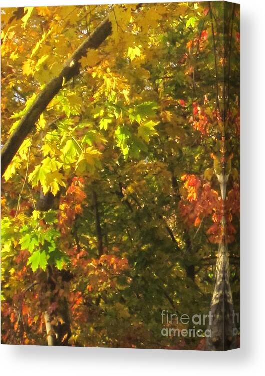 Fire Canvas Print featuring the photograph Fall Abstract 2 by Tara Shalton