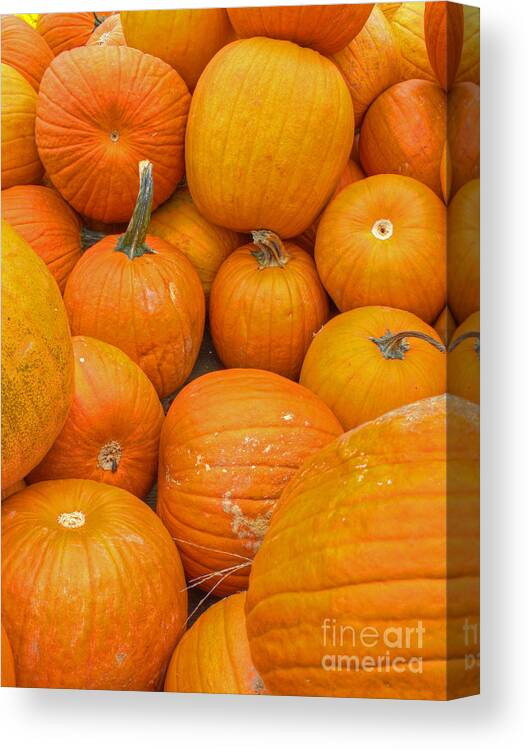 Orange Canvas Print featuring the photograph Fall Harvest by ELDavis Photography