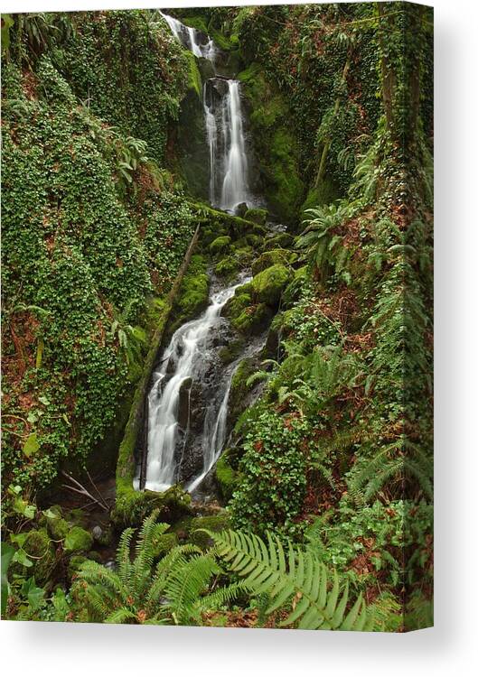 Oregon Canvas Print featuring the photograph Falls at Rainer II by HW Kateley