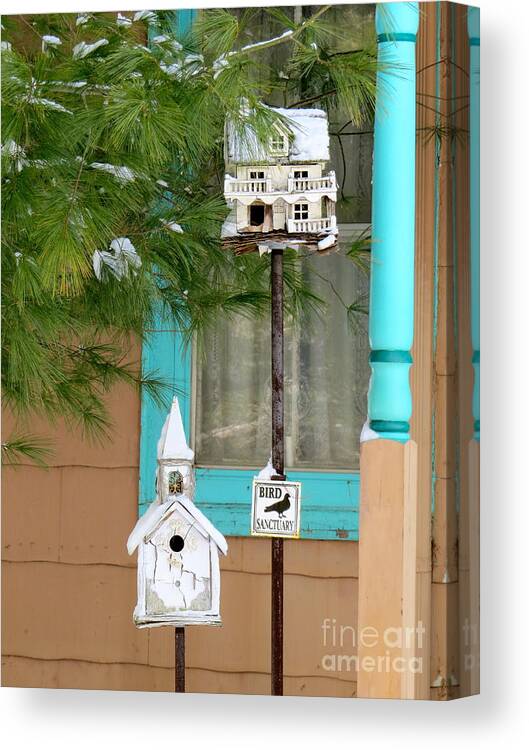Bird Houses Canvas Print featuring the photograph Feathered Friends welcome by Nancy Patterson