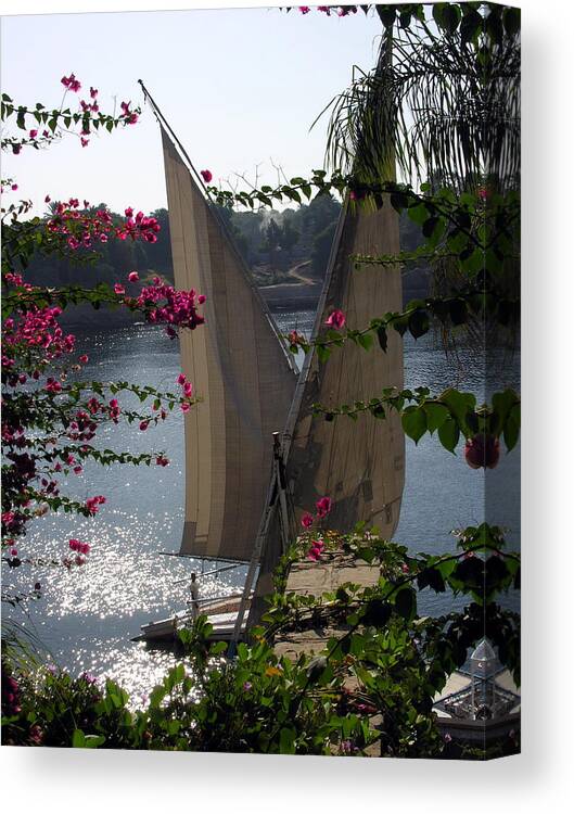 Egypt Canvas Print featuring the photograph Feluccas on the Nile - Egypt by Jacqueline M Lewis