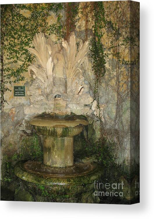 Fountain Canvas Print featuring the photograph Fish Fountain by Christiane Schulze Art And Photography