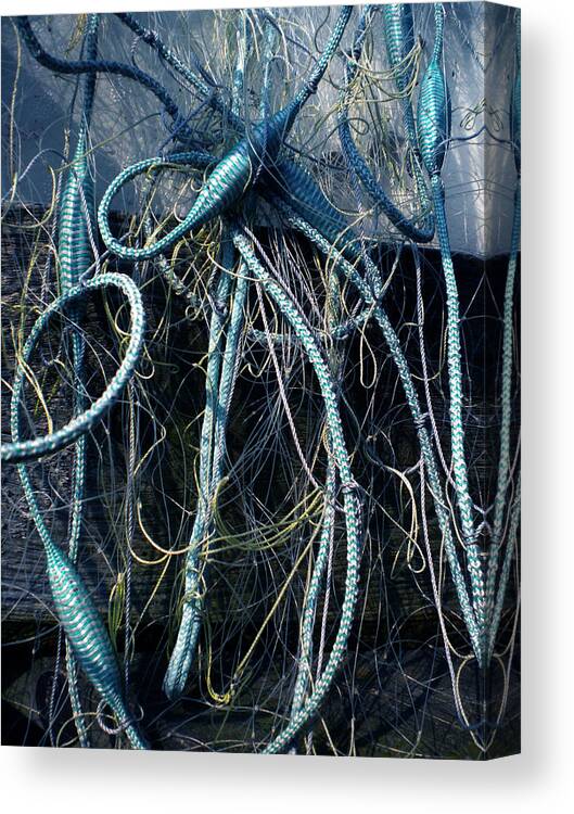 Colette Canvas Print featuring the photograph Fishing Net play  by Colette V Hera Guggenheim