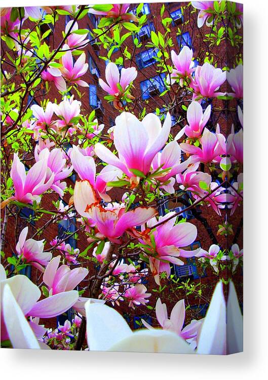 Photography Canvas Print featuring the photograph 'Floating Petals' by Liza Dey
