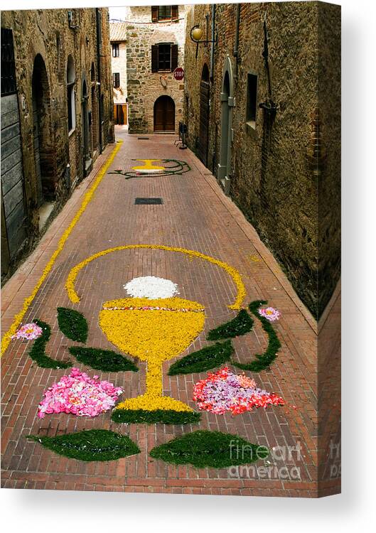 Flower Petals Canvas Print featuring the photograph Floral Decorations, Paciano, Italy by Tim Holt