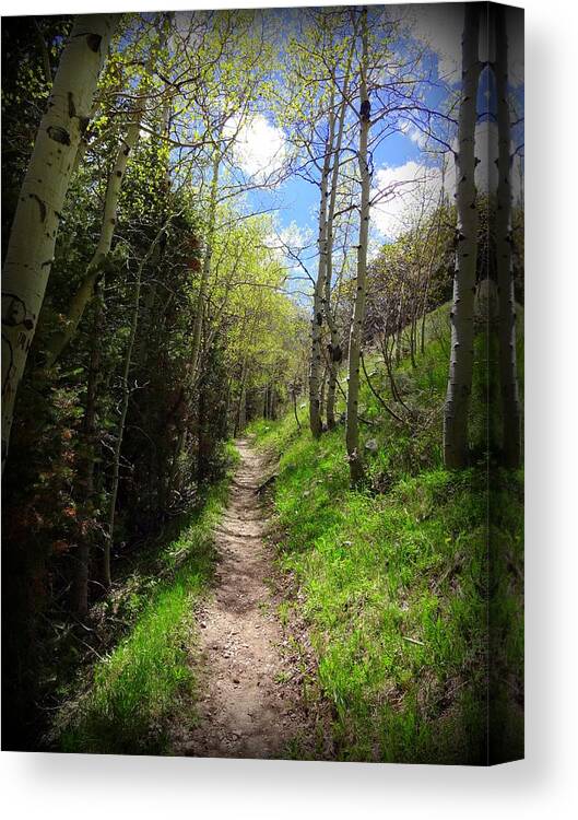 Trail Canvas Print featuring the photograph Footpath by Donna Spadola